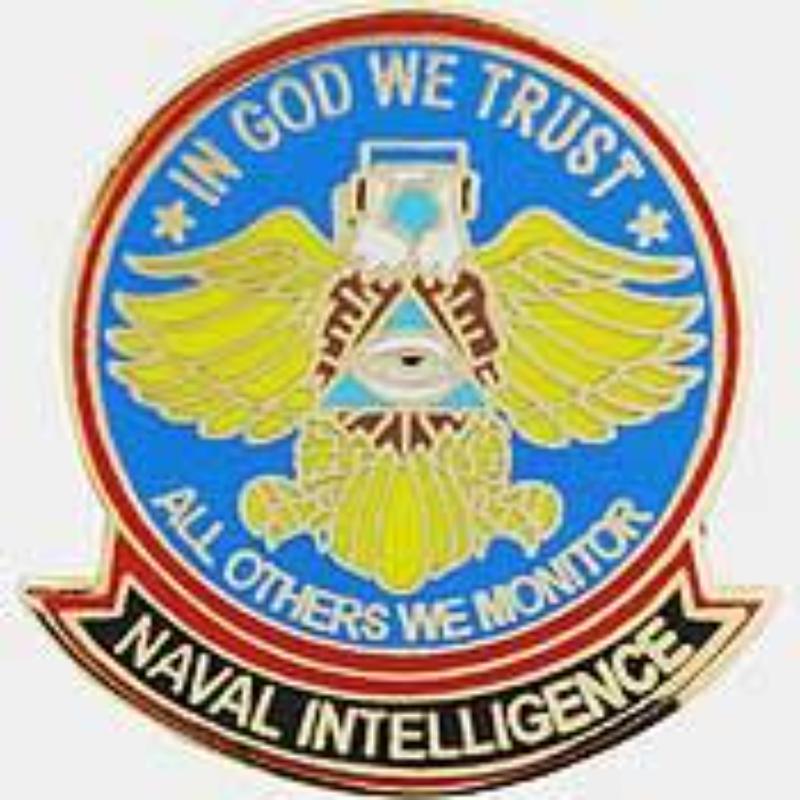 P15424 Pin - USN, Intelligence Eagle - 1 in.