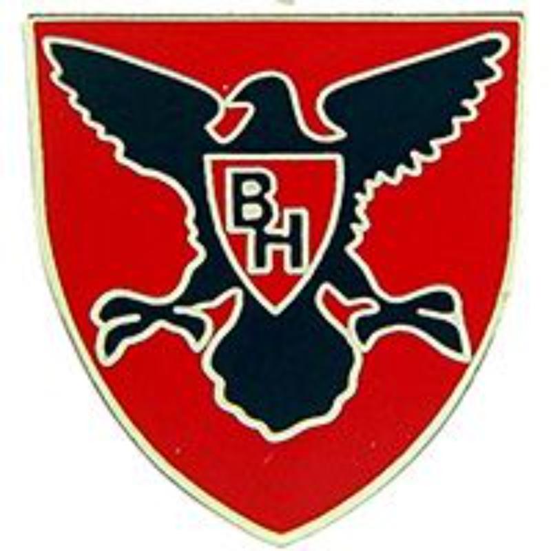 P15477 Pin - Army, 86th Training Division - 1 in.