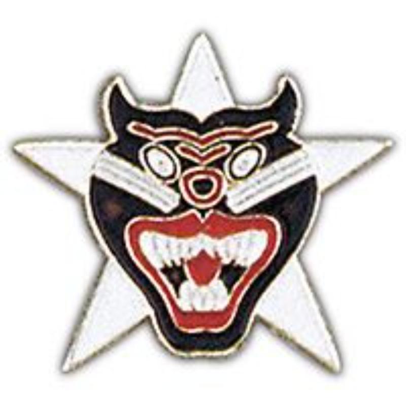 P15666 Pin - Vietnam, Arvn Ranger - 1 in.