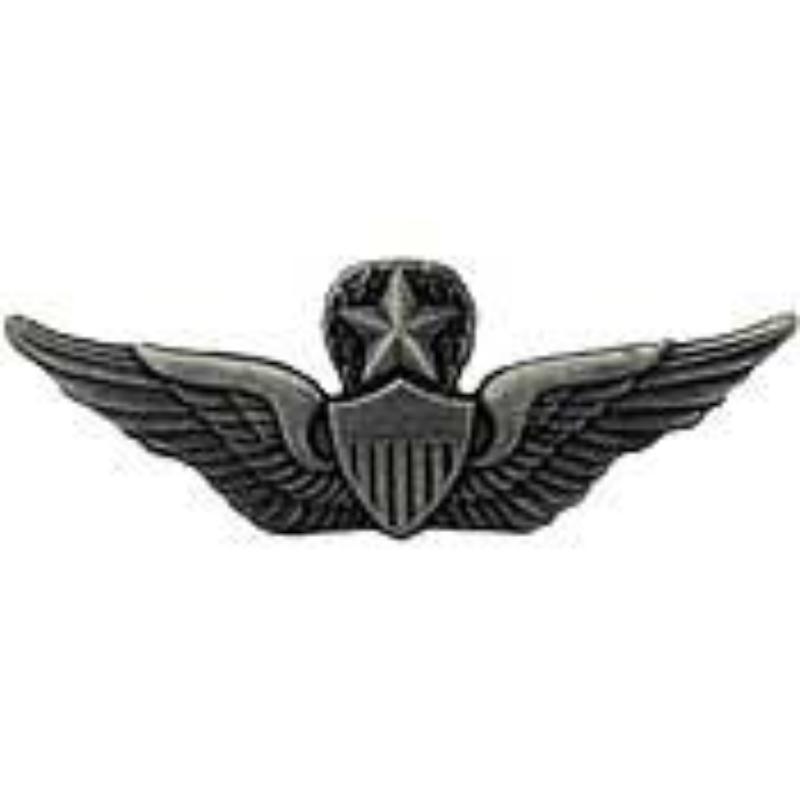 P16152 Wing Pin - Army, Aviator, Master - 2.56 in.