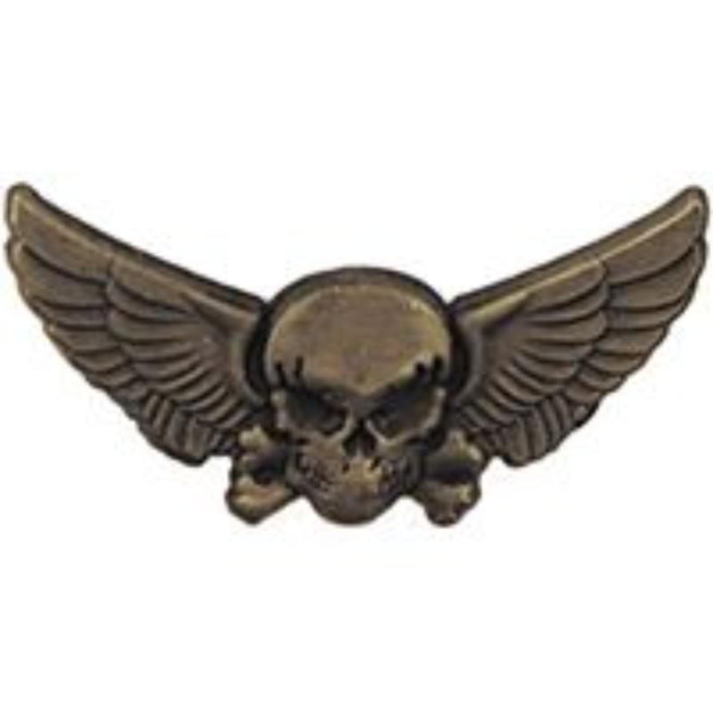 P60435 Wing Pin - Skull & Wing Pins - 1.25 in.