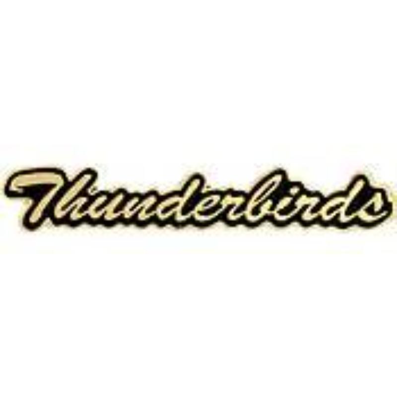 P00467 Pin - T&B, Script Thunderbirds - 1.38 in.