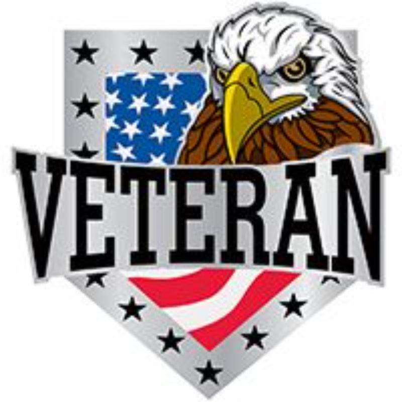 P62885 Pin - Veteran, Eagle, USA - 1.125 in.