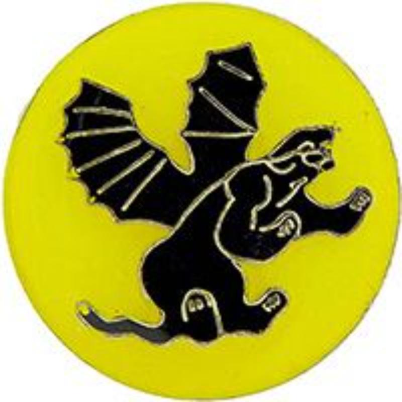 P64009 Pin - Army, 541St Airborne Infantry - 1 in.