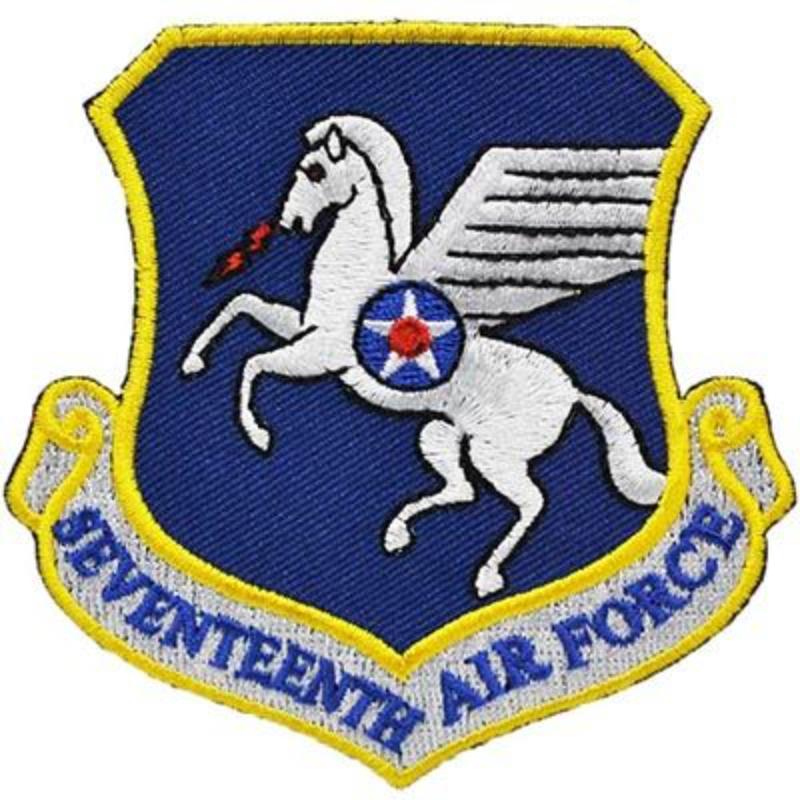 PM0917 Patch - USAF, 17th, Shield - 3.63 in.