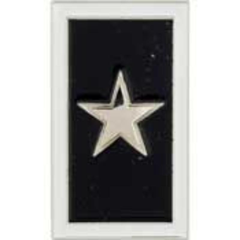 P00980 Pin - Wounded Warrior - Silver Star - 1 in.