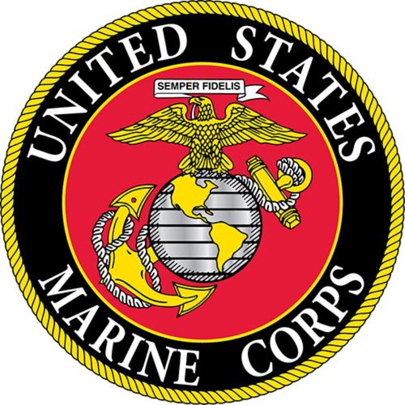 PM7369 Patch - USMC Logo - Silver Gold - 4 Piece - 4 in.