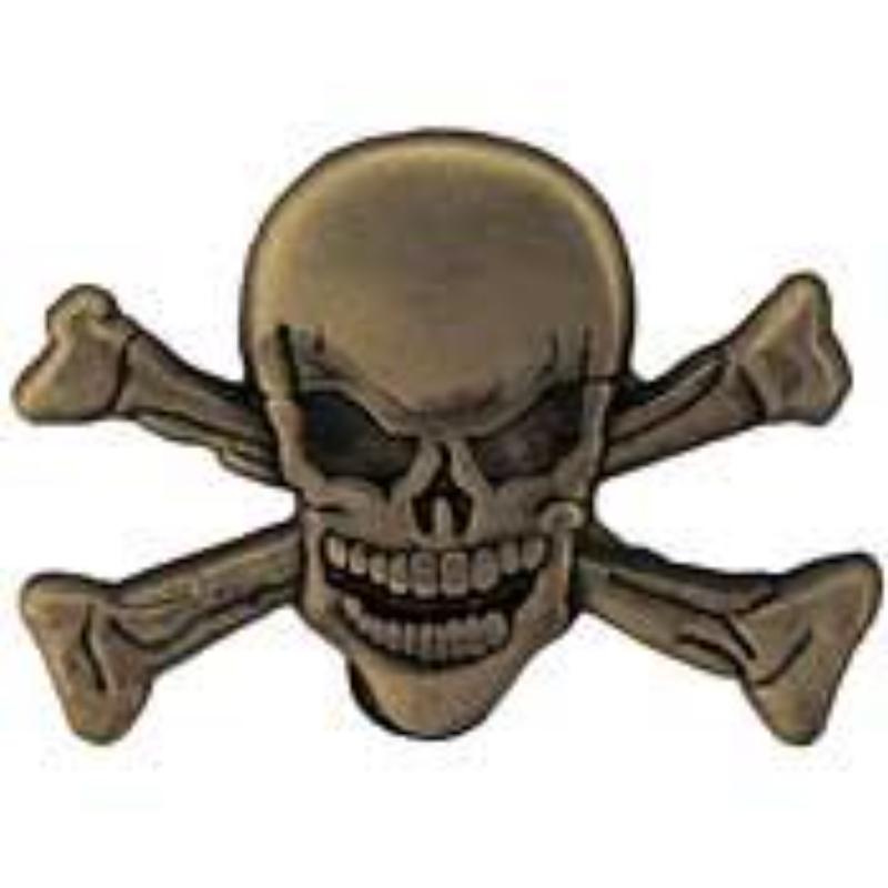 P15708 Pin - Skull & Bones - 1 in.