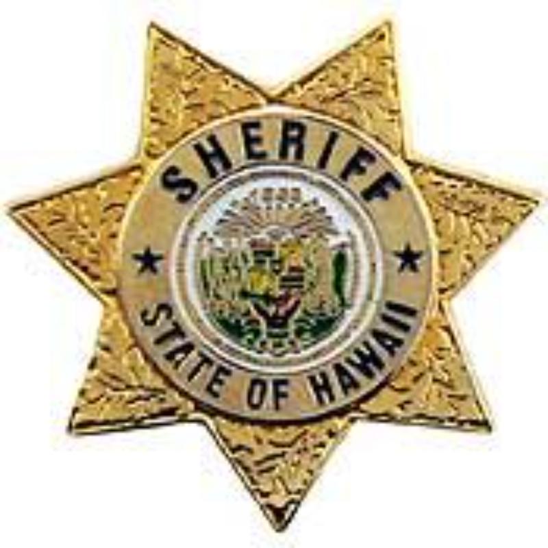 P02611 Pin - Police decal, HI, Sheriff - 1 in.
