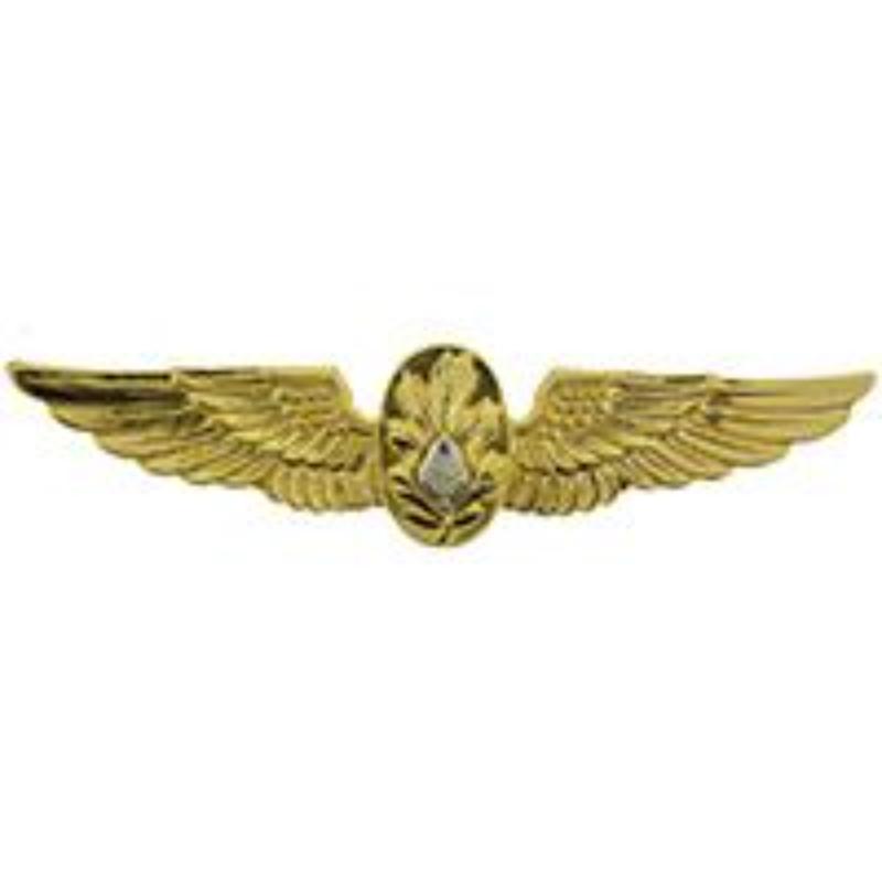 P16271 Wing Pin - USN, Flight Surgeon - Gold - 2.5 in.