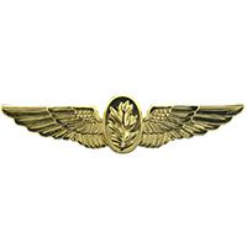 P16272 Wing Pin - USN, Flight Nurse - Gold - 2 in.