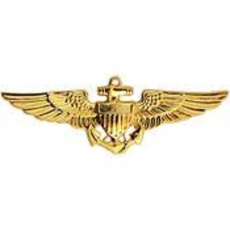 P16569 Wing Pin - USN & USMC, Aviator - Medium - 1.5 in.