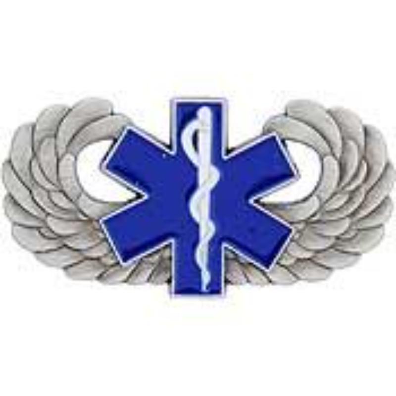 P19006 Wing Pin - Medical Caduceus - 1.5 in.