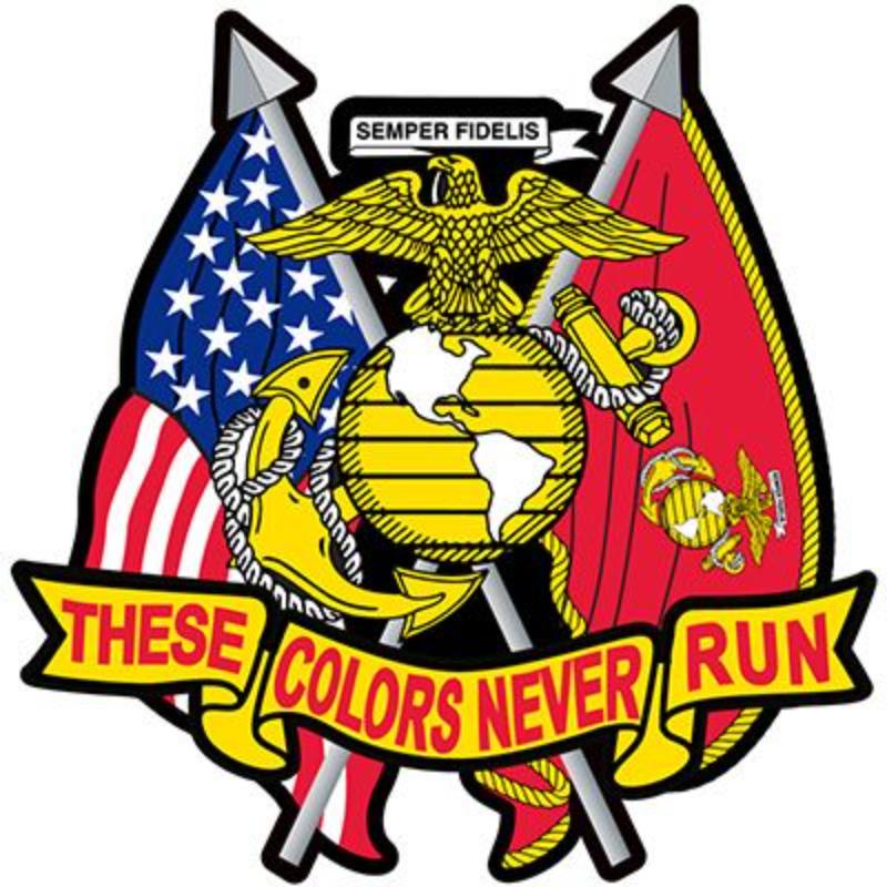 PM3138 Patch - USMC, These Colors - 3.5 in.