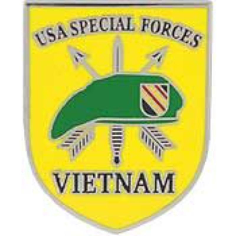 P14743 Pin - Vietnam, Special Forces - 1 in.