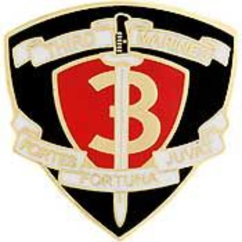 P15791 Pin - USMC, 3rd Regiment - 1 in.