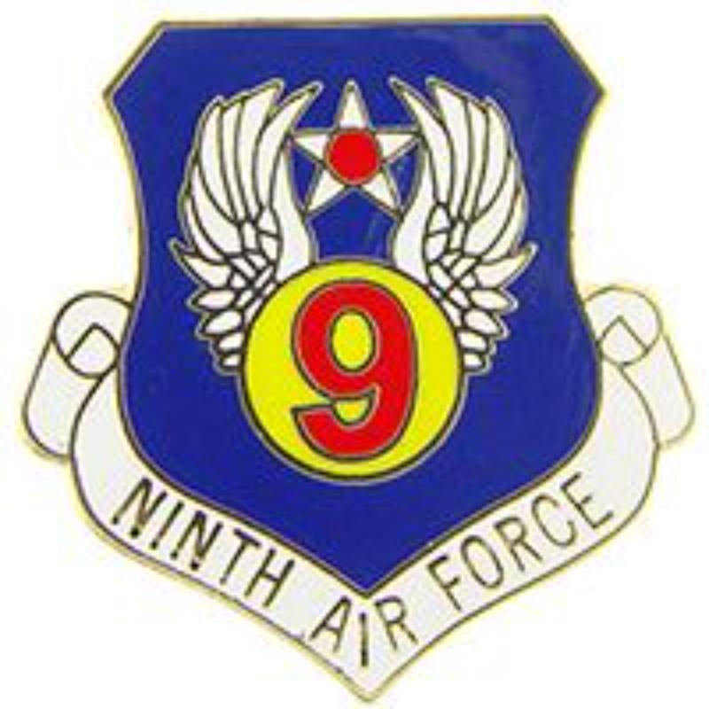 P15956 Pin - USAF, 9th, Shield - 1 in.