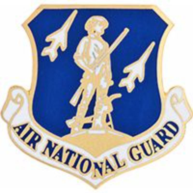 P15987 Pin - USAF, National Guard - 1.125 in.