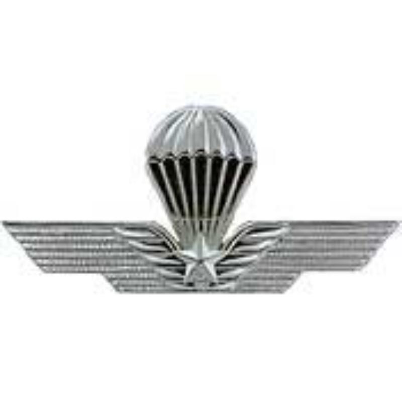 P40009 Wing Pin - Italian, Jump - 3 in.