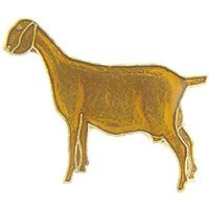 P60085 Pin - Goat - 1 in.