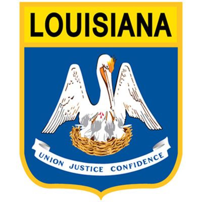 PM6919 Patch - Louisiana - 3.5 x 2.88 in.