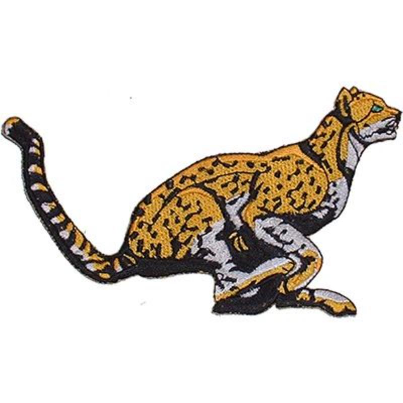 PM5180 Patch - Cheetah - 4 in.