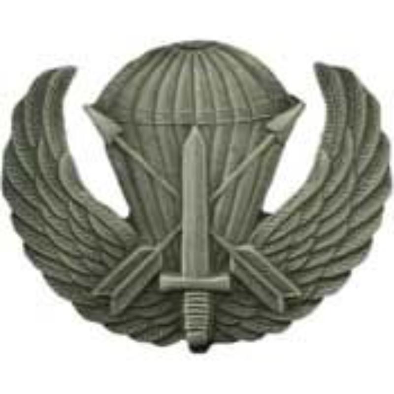 P16449 Wing Pin - Special Airborne - Pewter - 1.75 in.