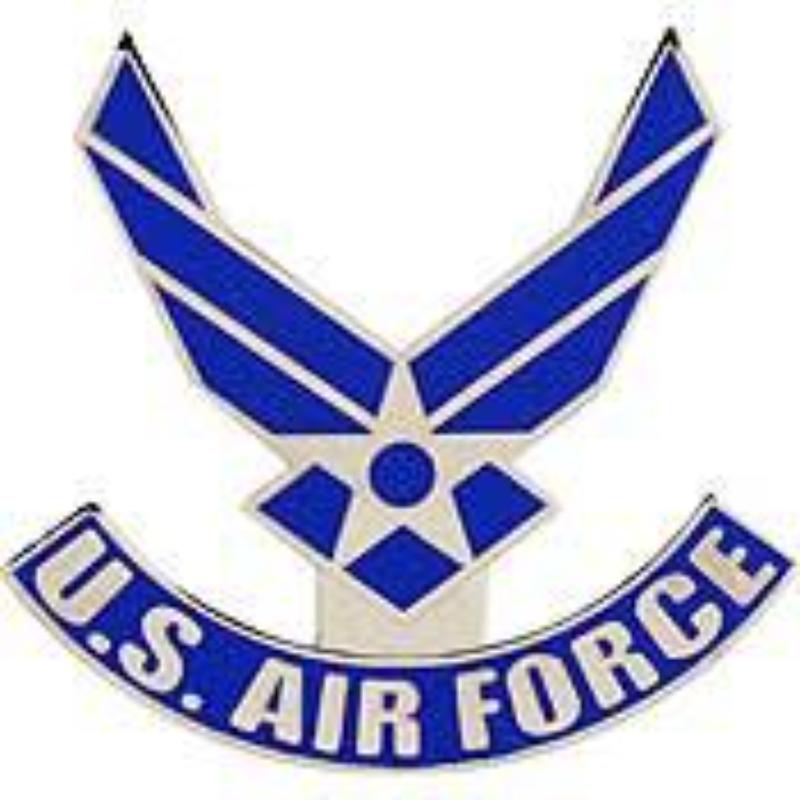 P16277 Pin - USAF Symbol II - Extra Large - 1.5 in.