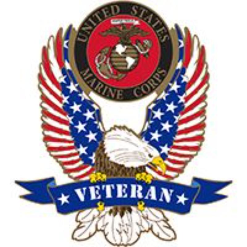 P16385 Pin - USMC Veteran Eagle - 1.63 in.