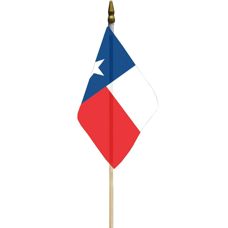 F8544 Flag - Texas - 12 x 18 in.