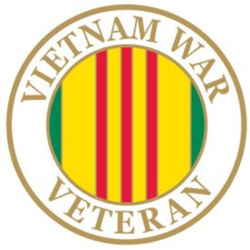 P00567 Pin - Vietnam, War Veteran - 1 in.