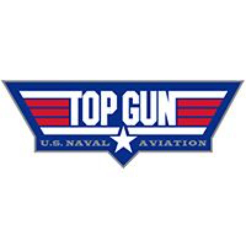 P00831 Pin - USN, Top Gun Logo - 1.38 in.