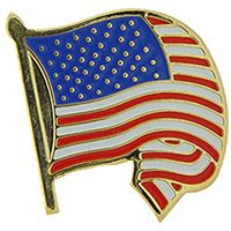 P12876 Pin - USA Flag, Wavy & Curled - 1 in.
