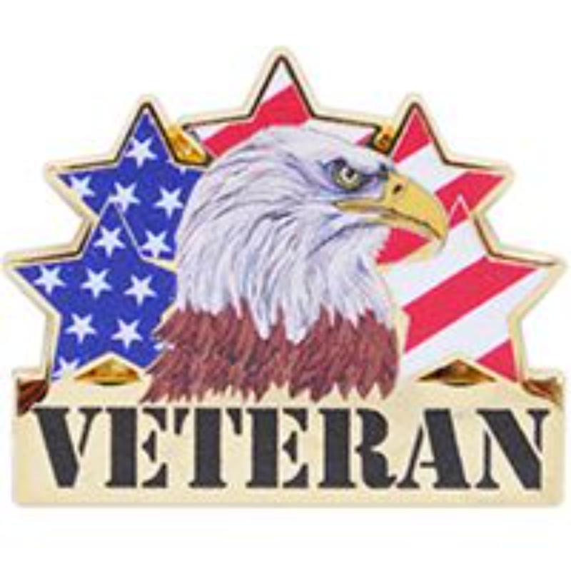 P12345 Pin - Veteran, Eagle, USA - 1.25 in.
