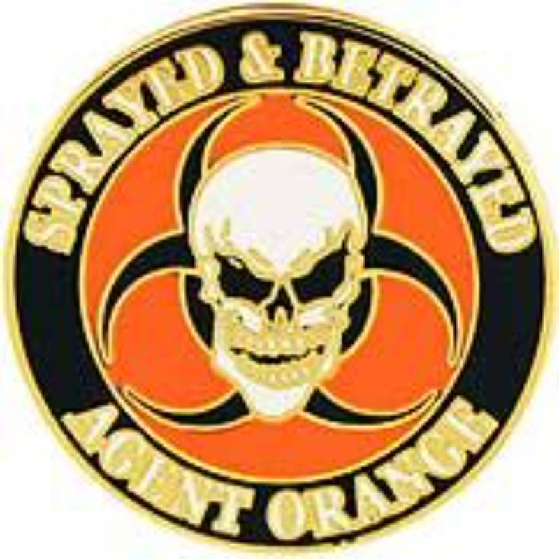 P14679 Pin - Vietnam, Agent Orange RCH - 1 in.