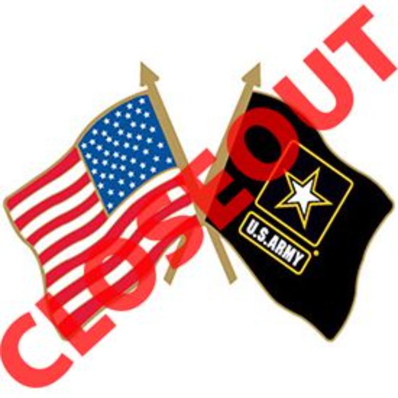 P14809 Pin - Army, Flag, USA & Army - Small - 1.125 in.