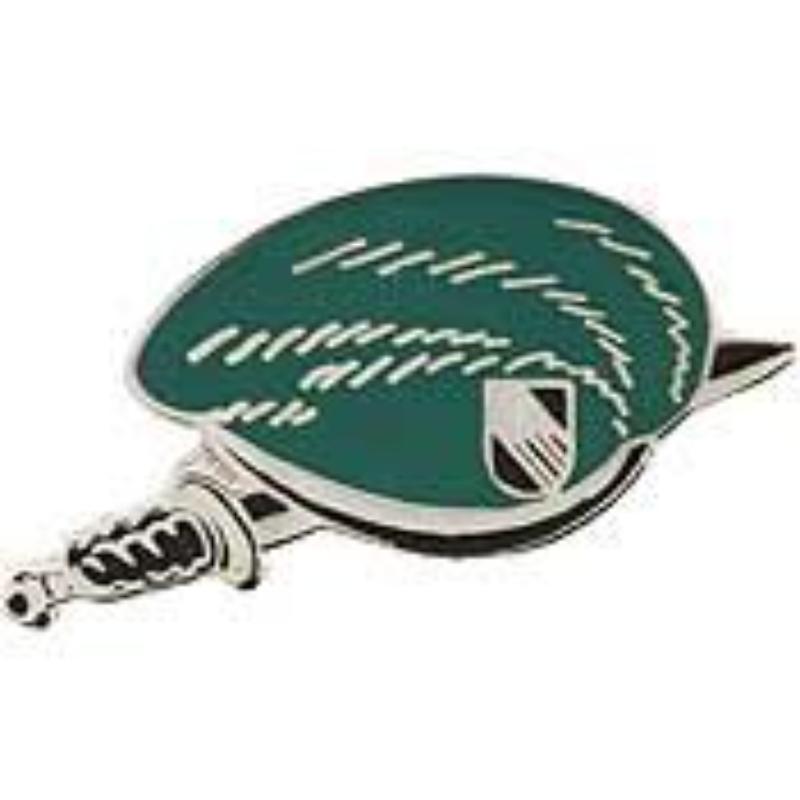 P14840 Pin - Special Green Beret, Bnet - 1 in.