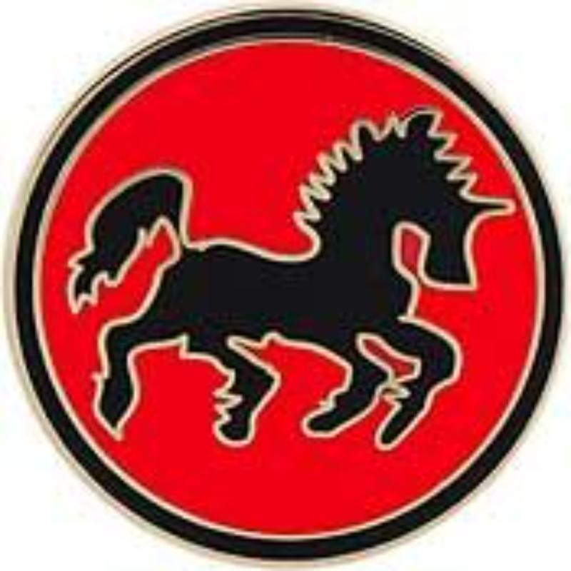 P14825 Pin - USN, Black Ponies - 1 in.