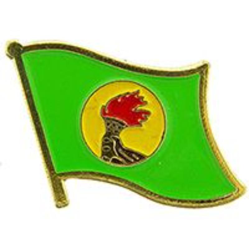 P09623 Flag Pin - Zaire - 1.625 in.