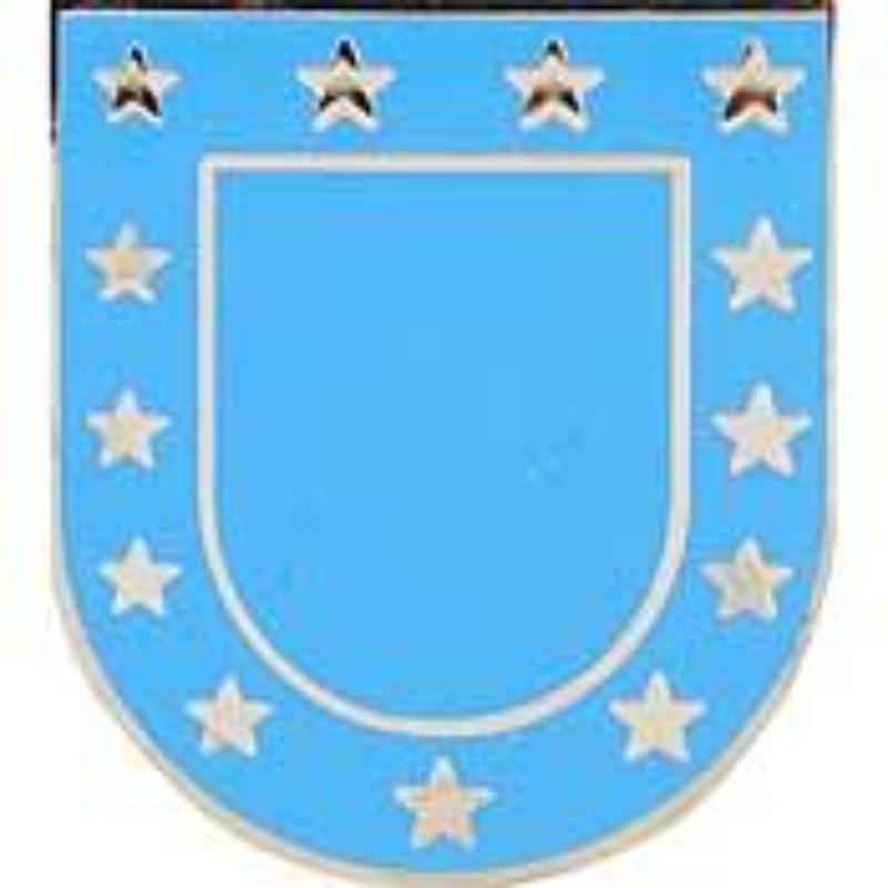 P10488 Pin - Army, Airborne Beret Flash - 0.88 in.