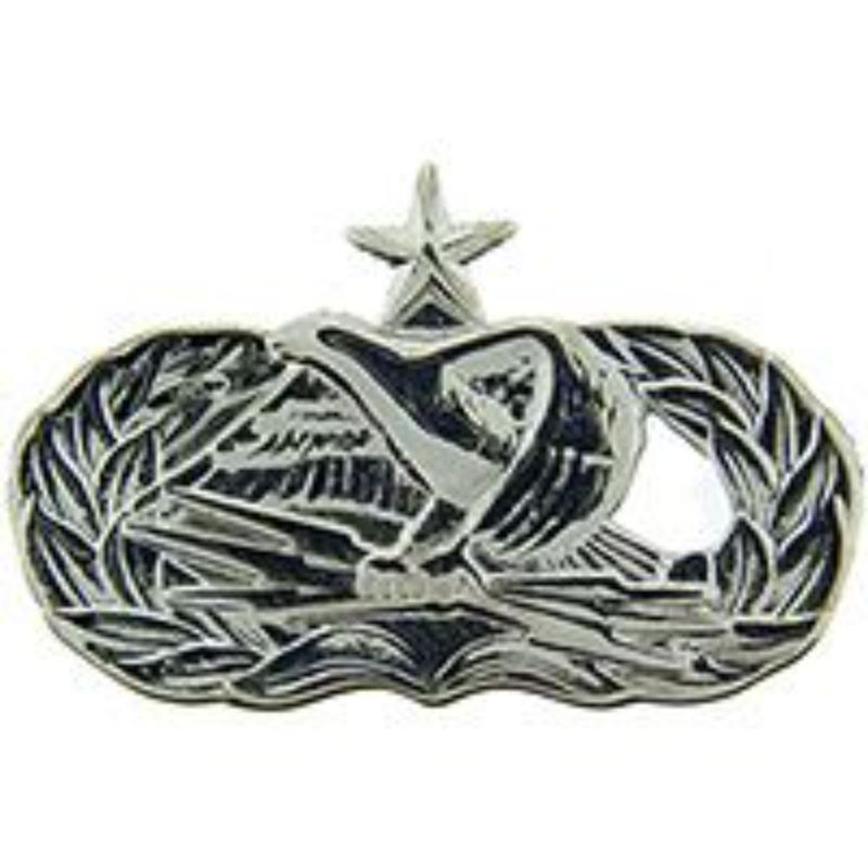 Mini Wing Pin - Pewter - 0.88 in. - USAF Communication Senior - Durable Design