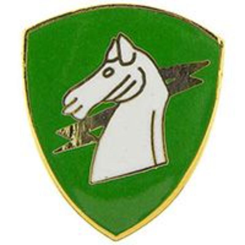 P12246 Pin - Army, 1St Special Operations Command - 1 in.