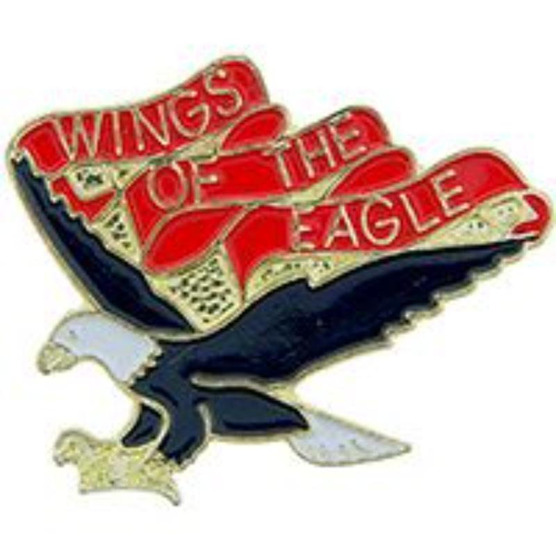 P14084 Pin - Army, 11st Aviation Battalion - 1 in.