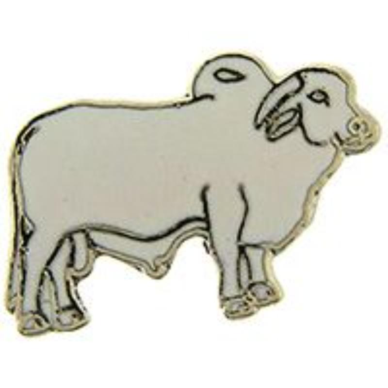 P00289 Pin - Bull, Brahma - 1 in.