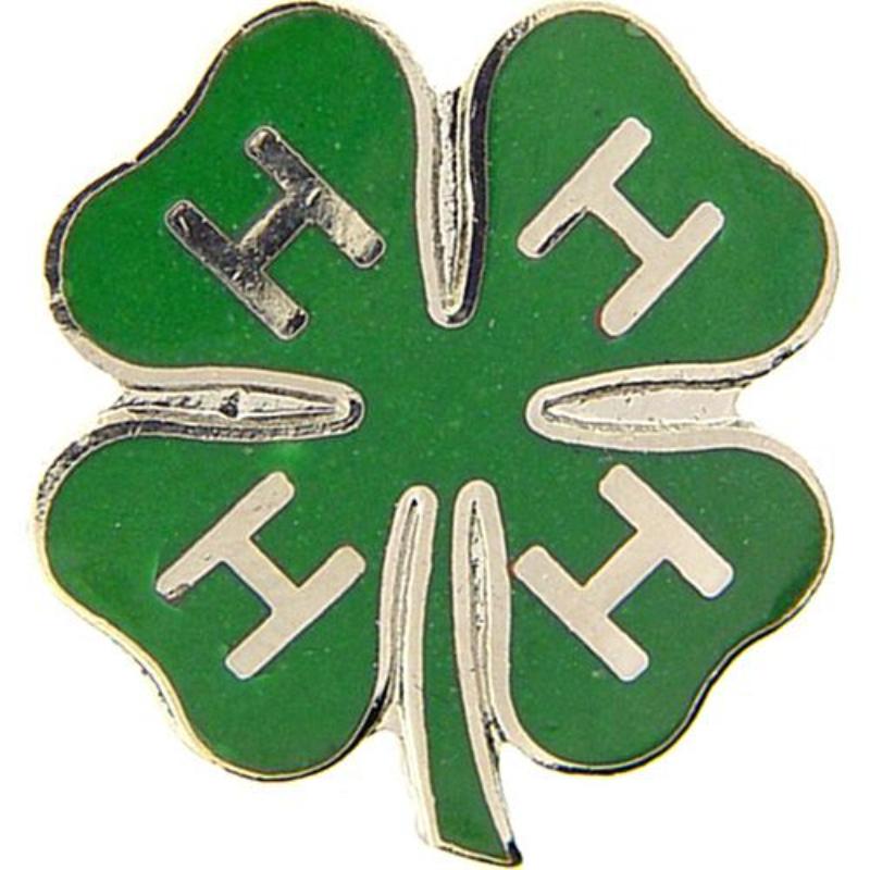 P00461 Pin - Orange, 4-H Club - 0.88 in.