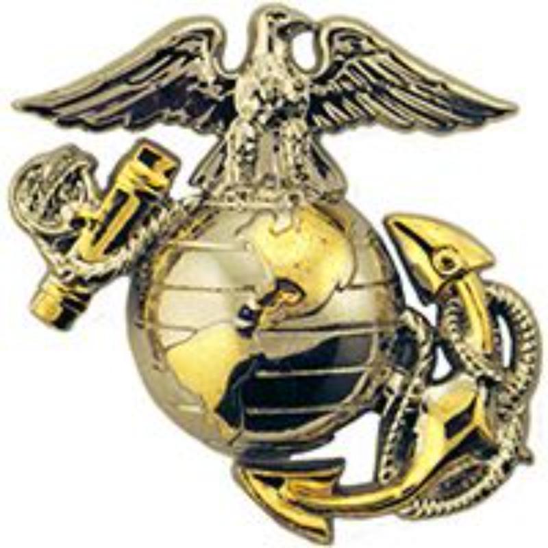 P10246 Pin - USMC, Emblem, B2 Right - Collard - Gold & Silver - 1 in.