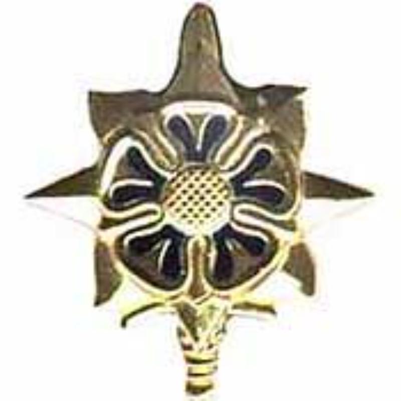 P10468 Pin - Army, Intelligence - 1.25 in.