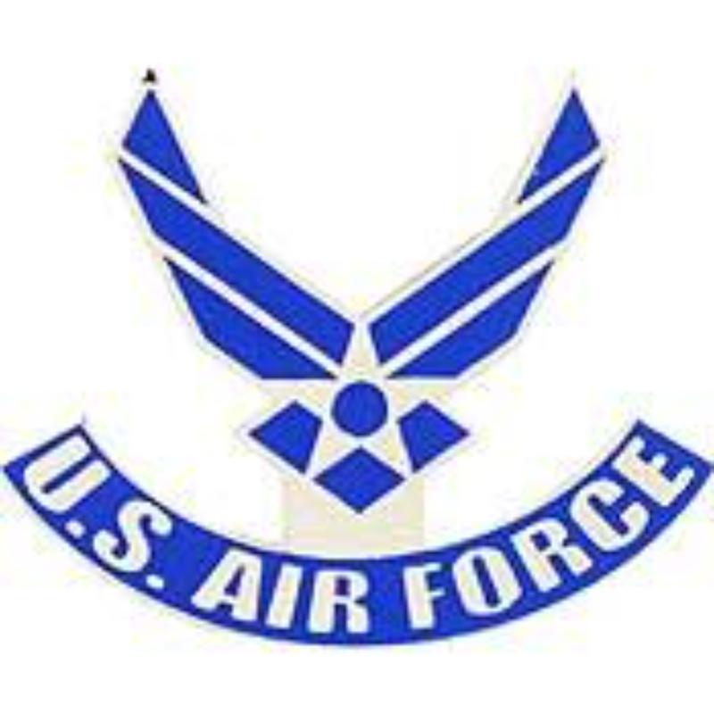 P14276 Pin - USAF Symbol II - 1.125 in.