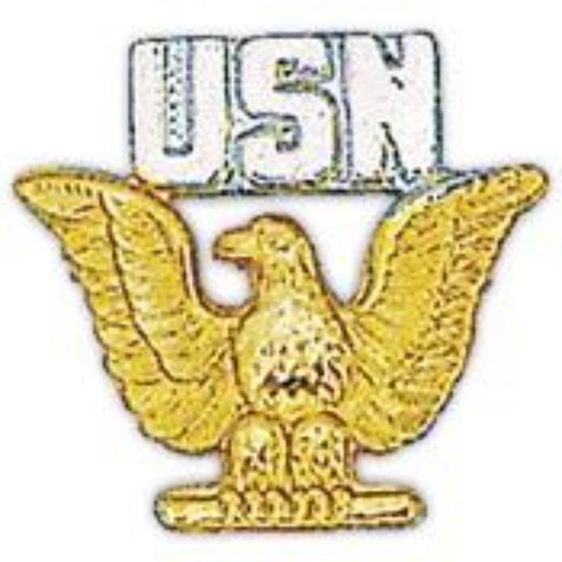P14941 Pin - USN, Enlisted - Gold & Silver - 1 in.