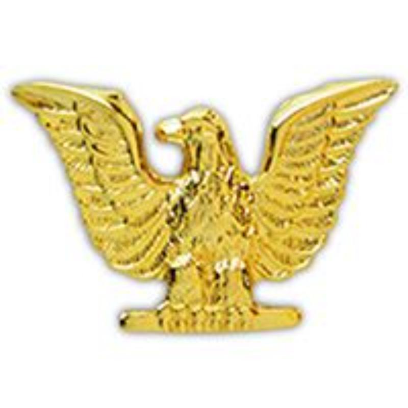 P15260 Pin - USN, Enlisted, Gold - 1 in.